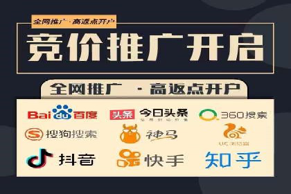 某行业巨头背后的SEM代运营服务公司